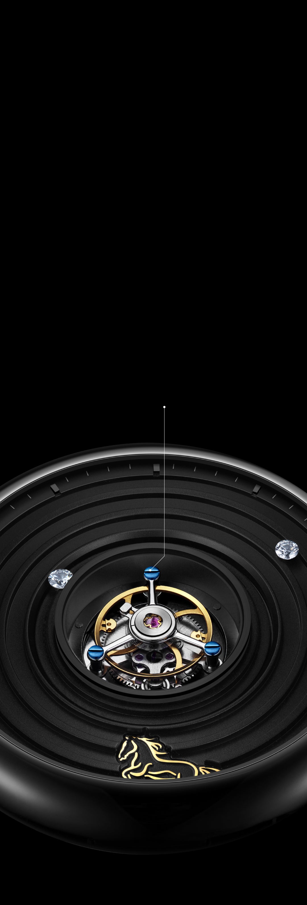 CENTRAL TOURBILLON
<br>
IN MOTION