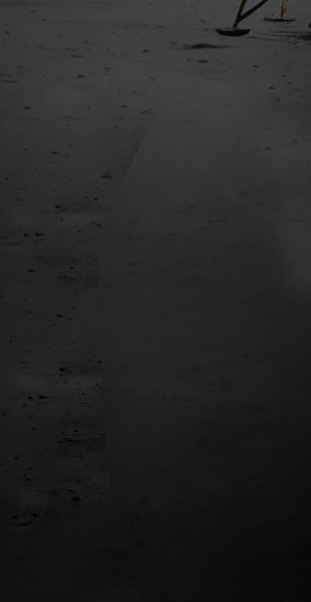 section background